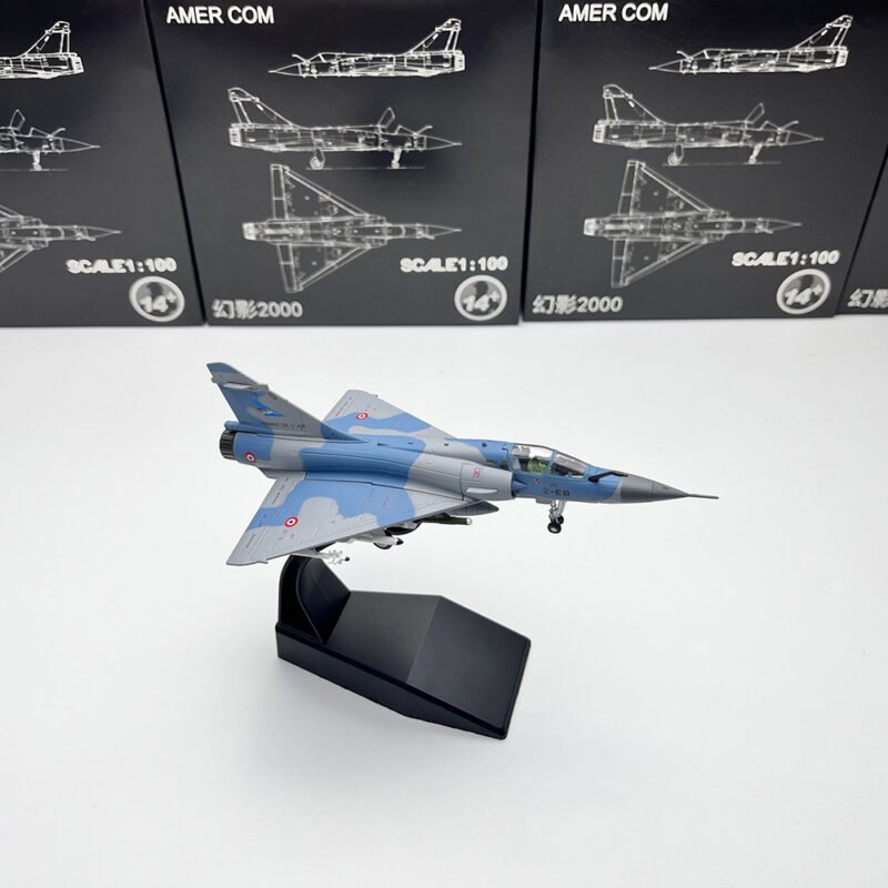 Mirage 2000, 1:100, NSH016 - AMER - bbhobbymodels