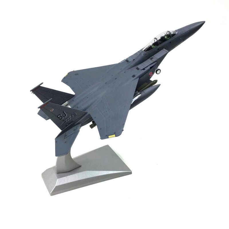 NS Model